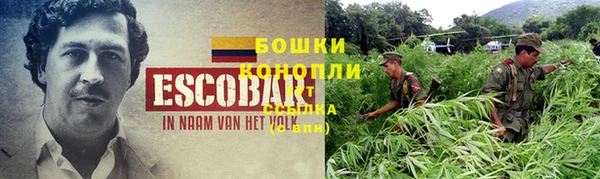 прущий лед Богородицк