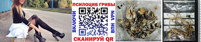 Галлюциногенные грибы ЛСД  Старица 